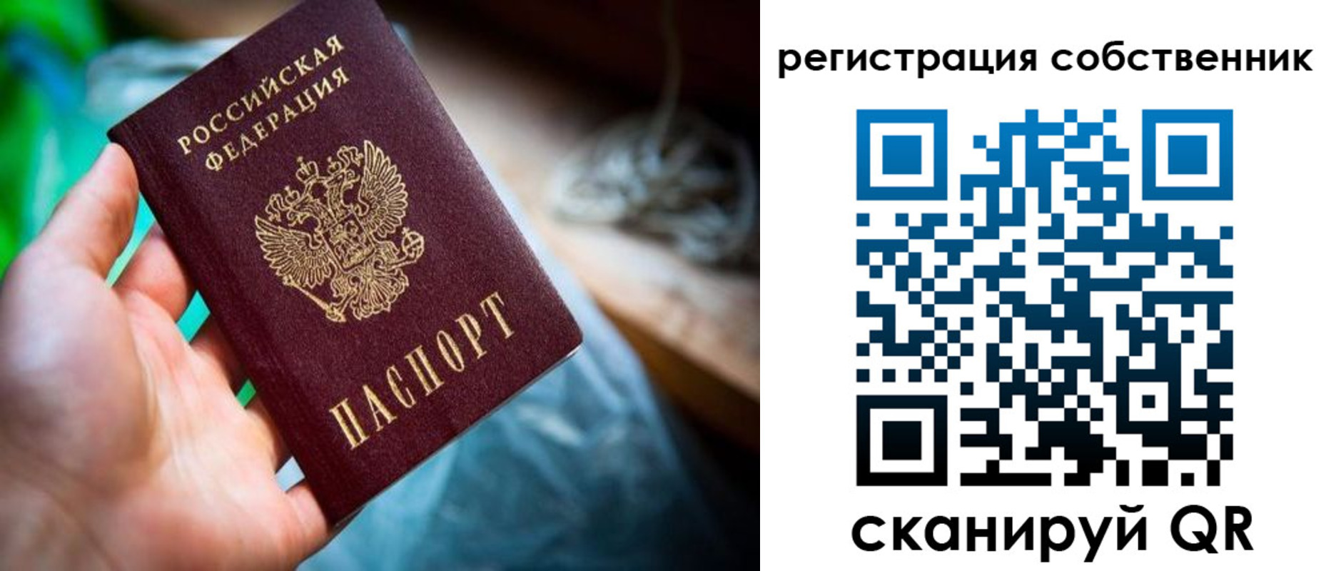 прописка гарантия в Черноголовке